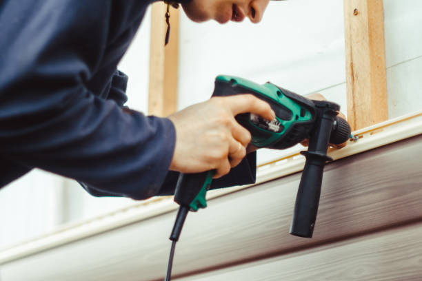 Best Siding Painting and Refinishing  in Badger, AK